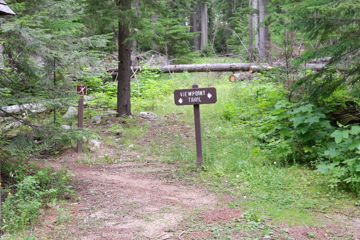 I have included a few pictures of Viewpoint Trail. 
