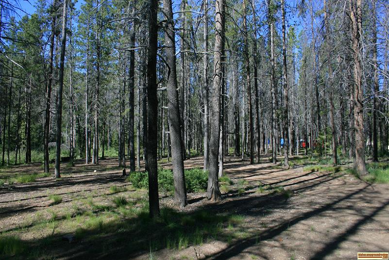 This is a portion of the map at the trailhead at Iron Creek Campground.