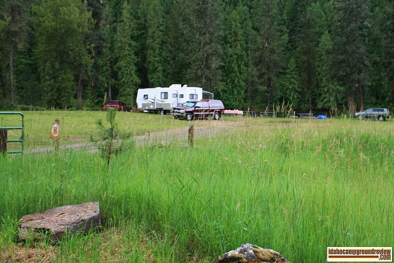 Johnson Bar Campground on the Selway River