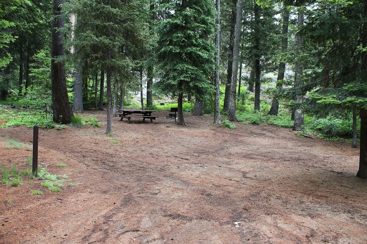 Kennally Creek Forest Camp - Campsites