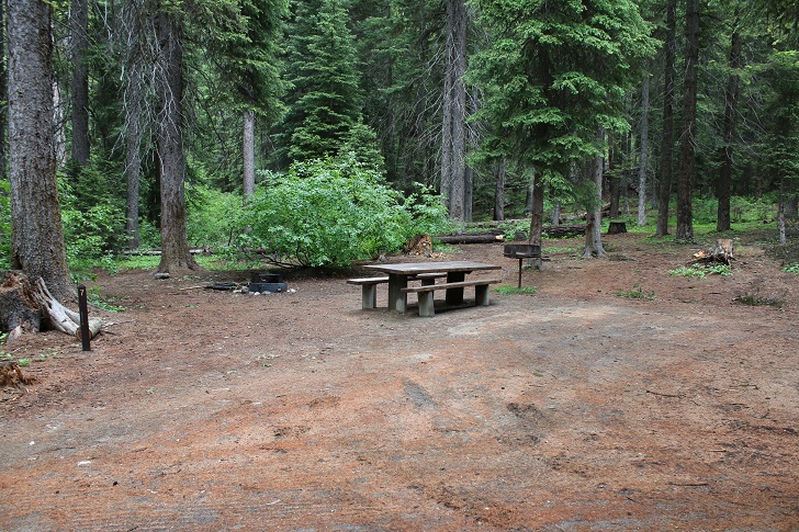 Kennally Creek Forest Camp - Campsites