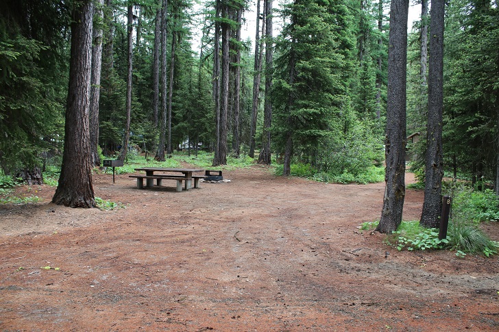Kennally Creek Forest Camp - Campsites