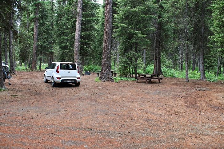 Kennally Creek Forest Camp - Campsites