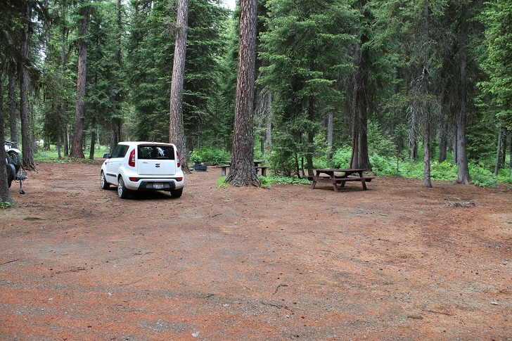 Kennally Creek Forest Camp - Campsites