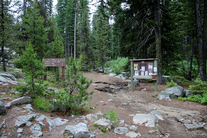 Kennally Creek Forest Camp trailhead