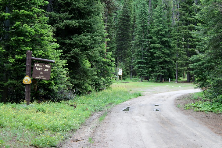 Kennally Creek Forest Camp