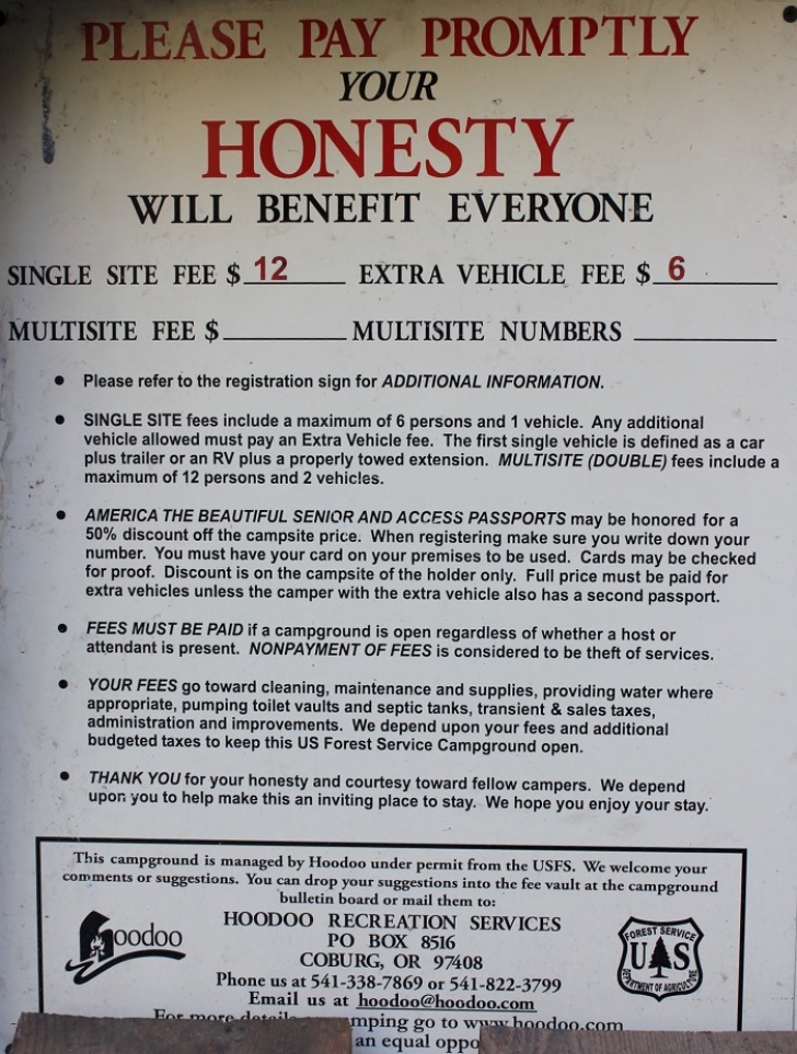 Camping in Washingtons Killen Creek Campground.