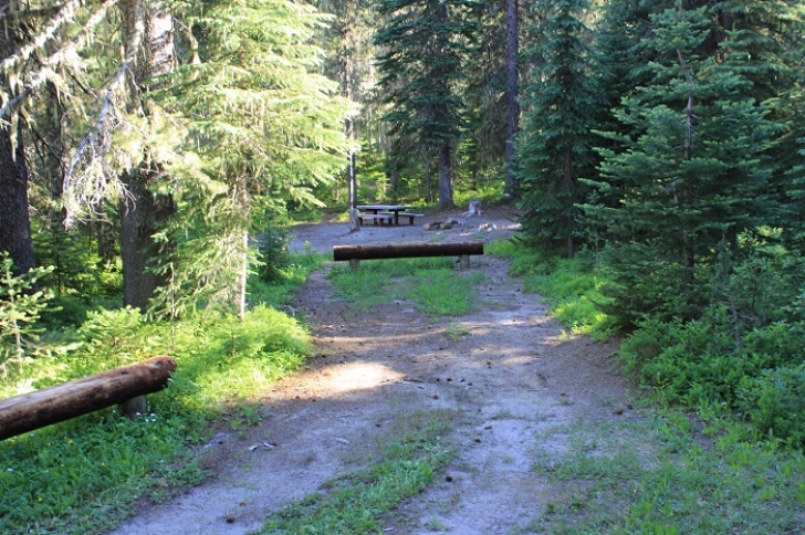 Camping in Washingtons Killen Creek Campground.
