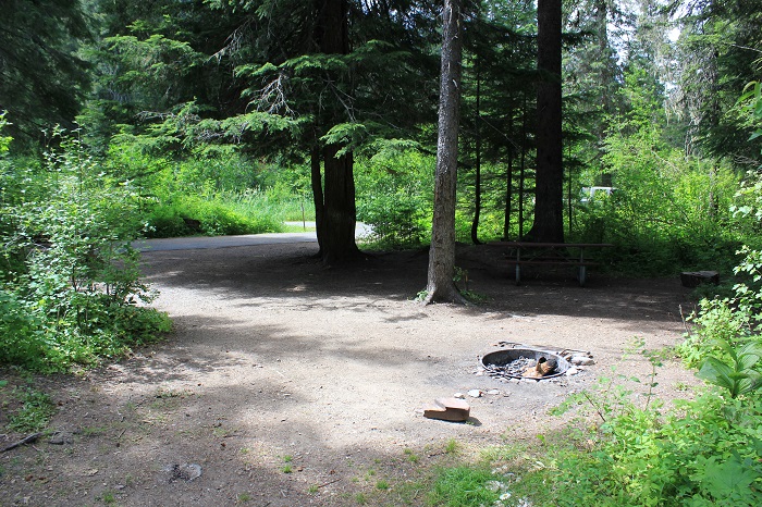 Kit Price Campground on the Coeur d