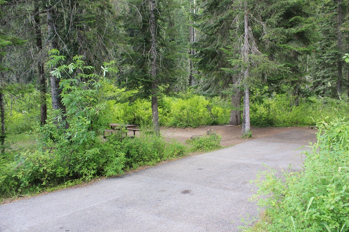 Kit Price Campground on the Coeur d'Alene River.