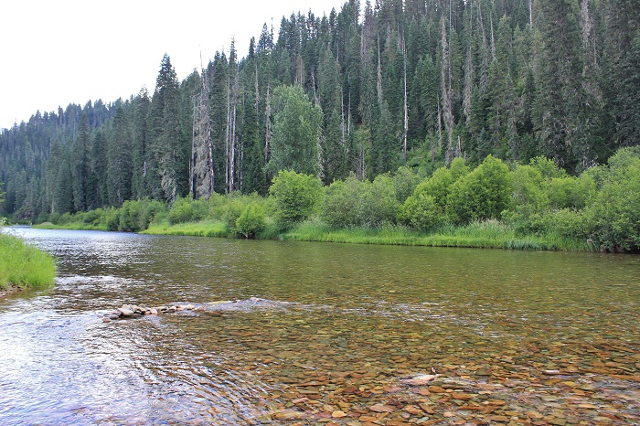 Kit Price Campground on the coeur d'Alene River.