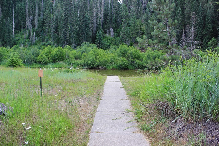 Kit Price Campground on the coeur d'Alene River.