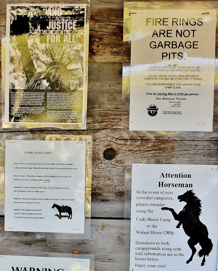 Camping in Washingtons Keenes Horse Campground.