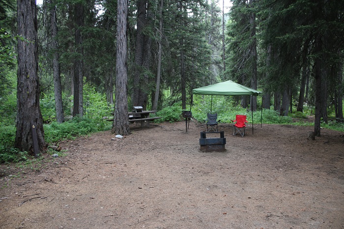 Lake Fork Campground site.