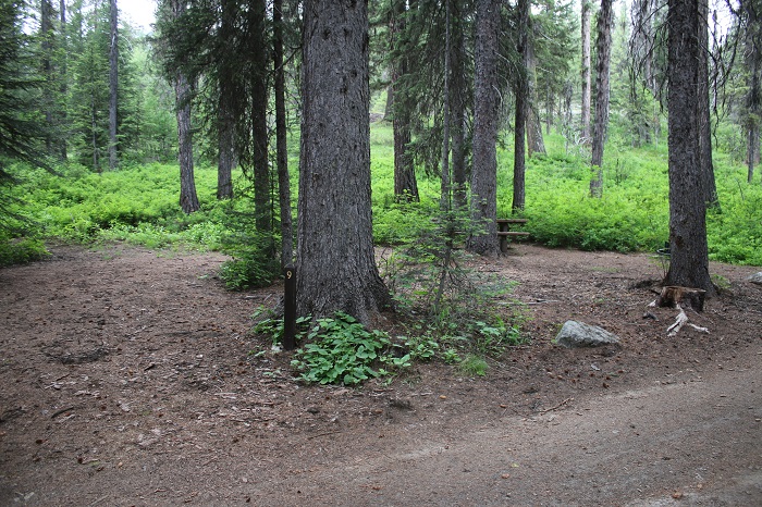 Lake Fork Campground site.