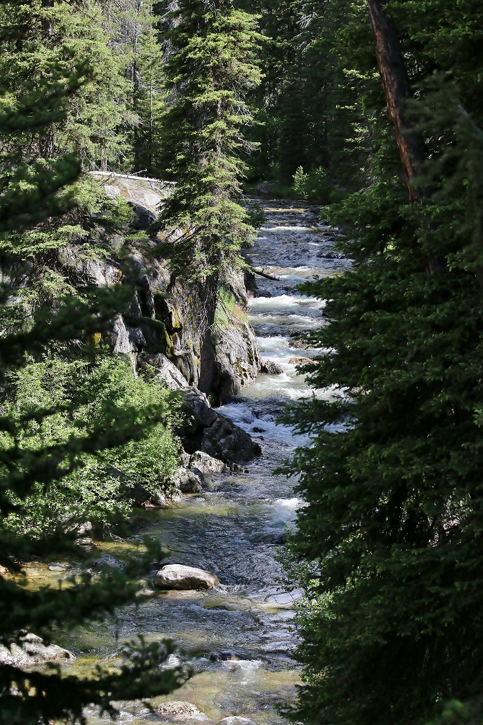 Watch for this sign at the entrance to Lake Fork Campground.