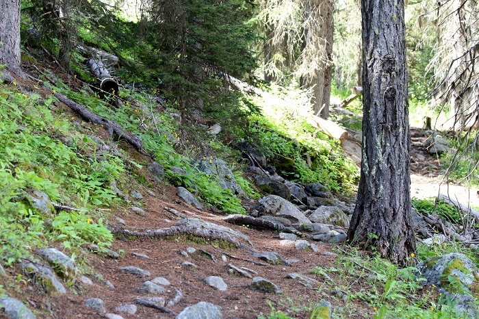 Lake Fork Campground camping info signs.
