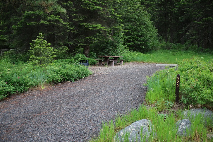 Campsites in Lastchance Campground.