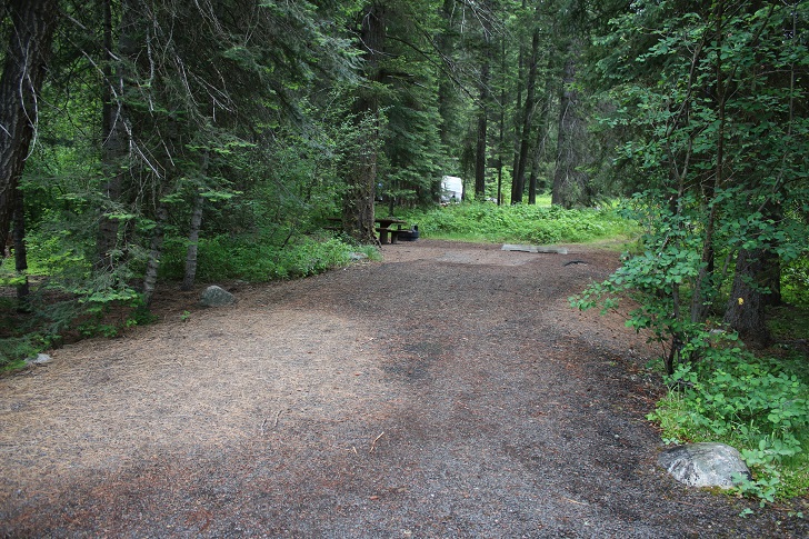 Campsites in Lastchance Campground.
