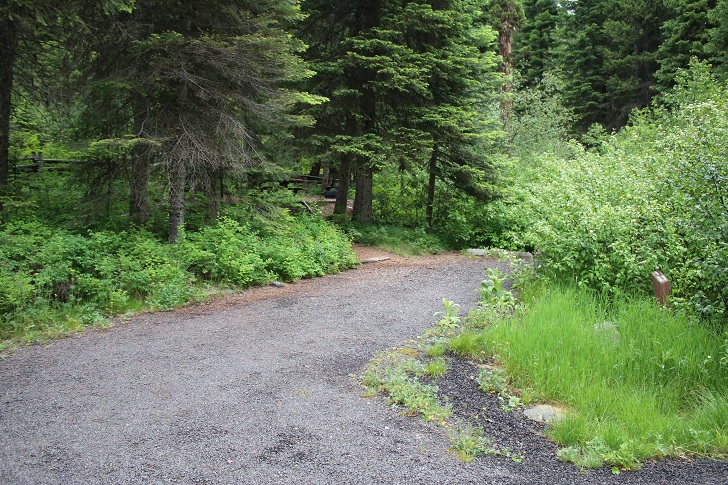 Campsites in Lastchance Campground.