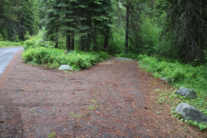 Campsites in Lastchance Campground.
