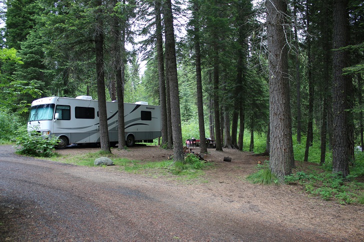 Campsites in Lastchance Campground.
