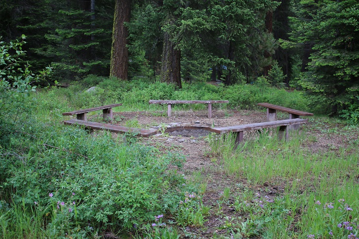 Campsites in Lastchance Campground.