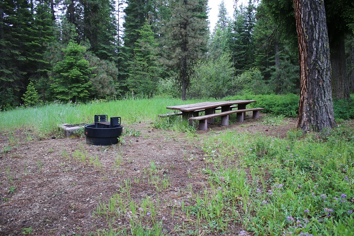 Campsites in Lastchance Campground.