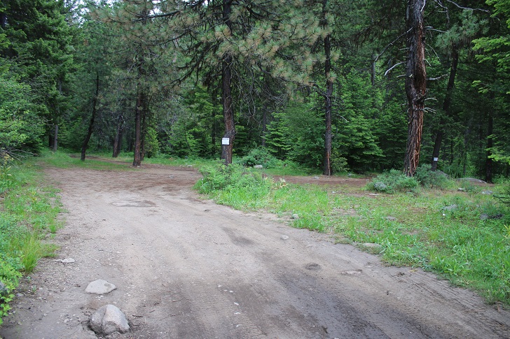There are some very nice primative campsites along the creek near the campground.