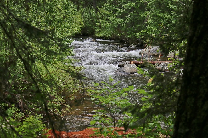 Last Chance Campground signs