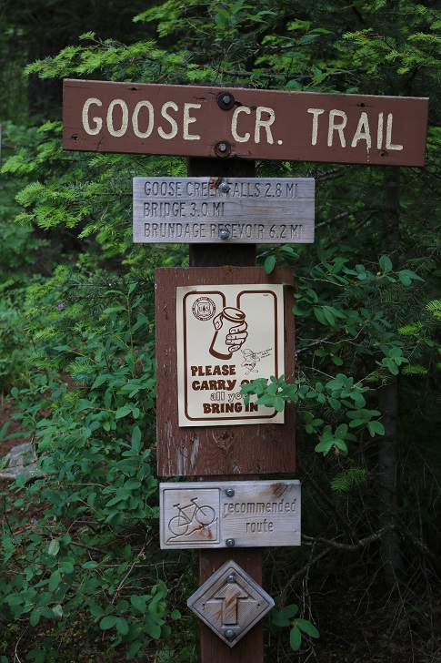 Check out the trail from Last Chance Campground up Goose Creek to Goose Creek Falls and beyond.