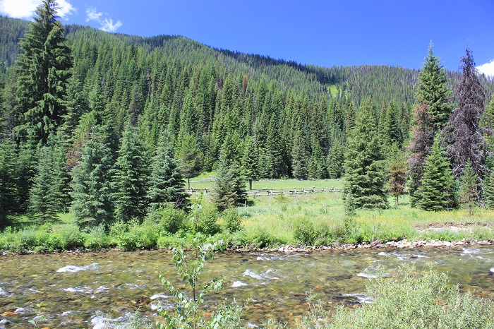 Line Creek Stock Camp