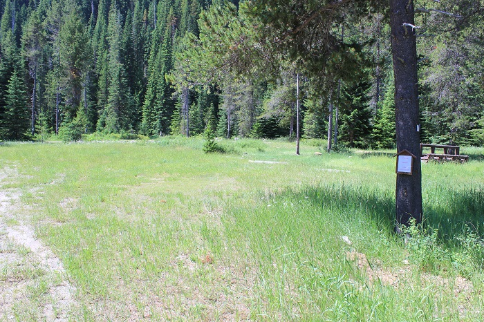 Line Creek Stock Camp