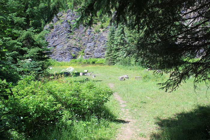 Line Creek Stock Camp