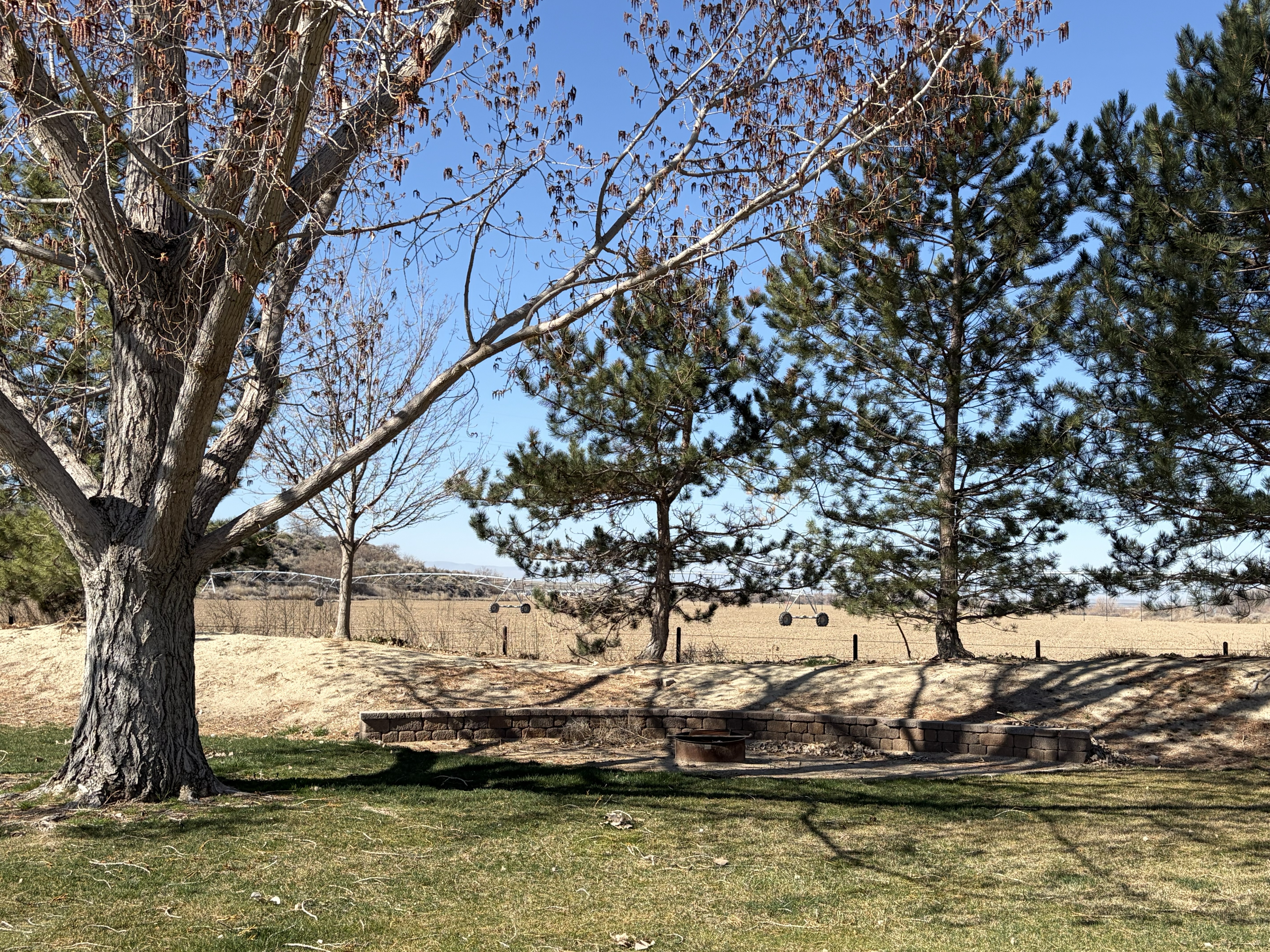 picture of snake river shoreline in Locust Park Campground