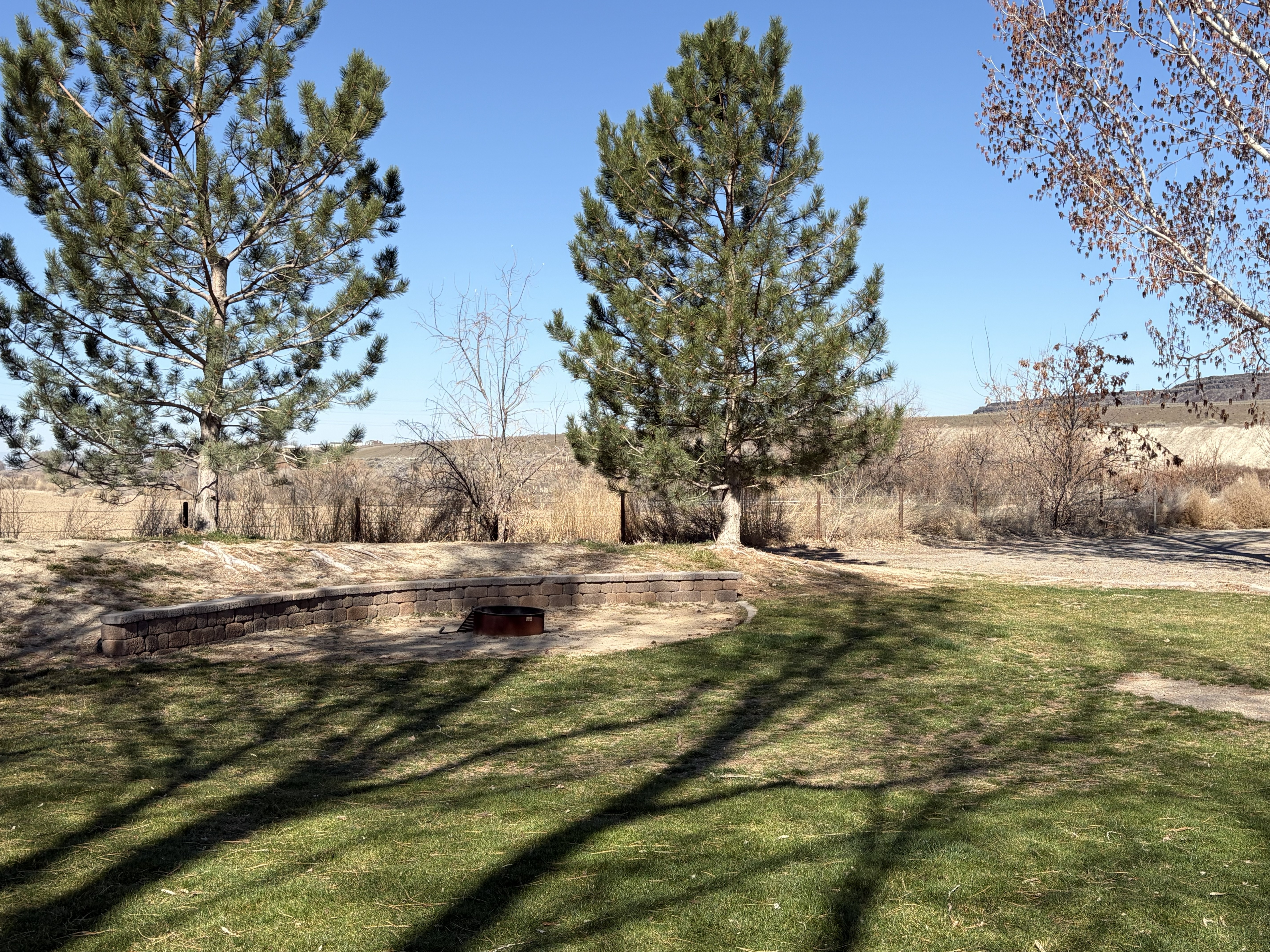 Locust Park Campsites