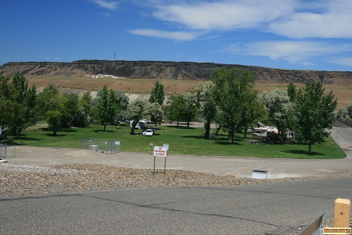 locust park grassy camping area