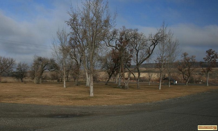 picture of grassy tree covered section of Locust Park campground