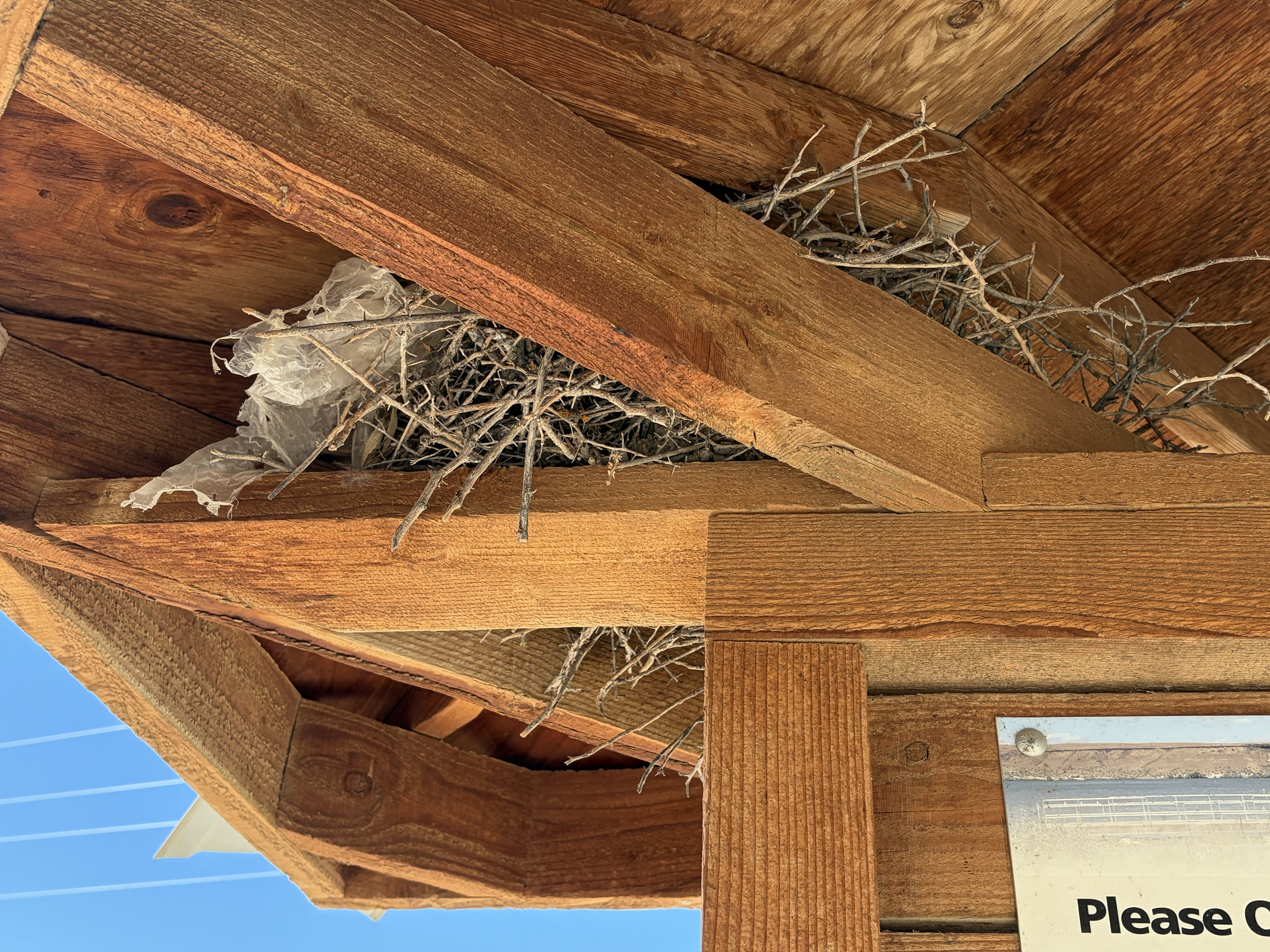 Locust Park Signs and Info 