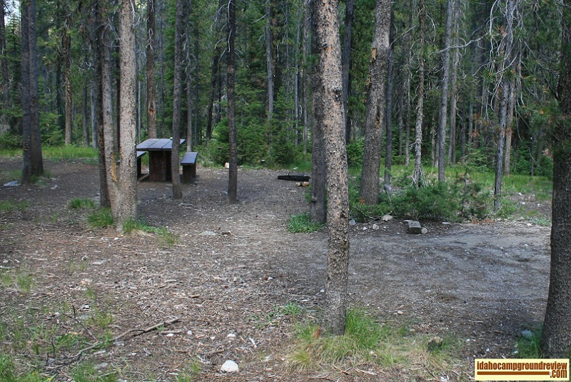 Typical camping site in Lola Creek Campground on Marsh Creek