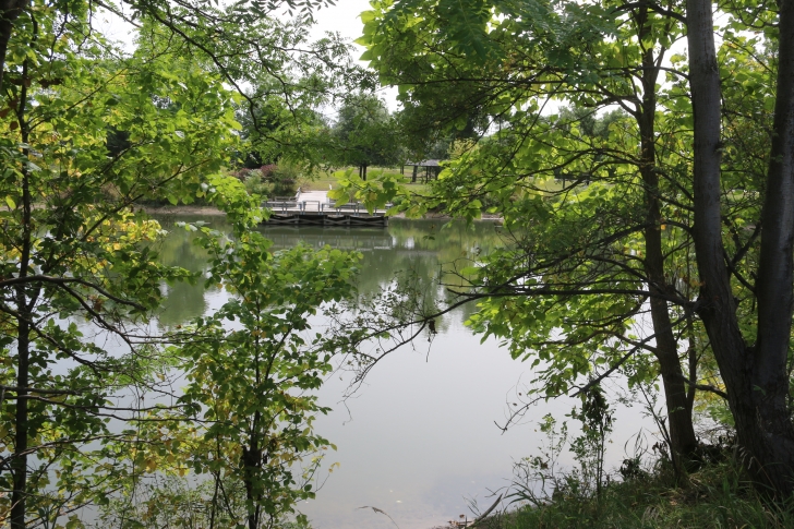 Camping at Louisville State Recreation Area on the Platte River  Nebraska