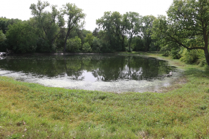 Camping at Louisville State Recreation Area on the Platte River  Nebraska