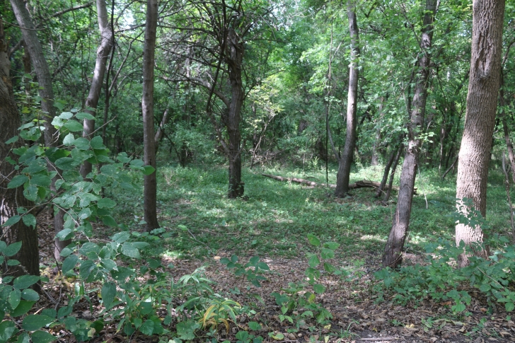 Camping at Louisville State Recreation Area on the Platte River  Nebraska