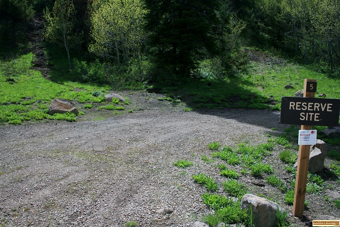 Campsite #5 in Lower Penstemon Campground.