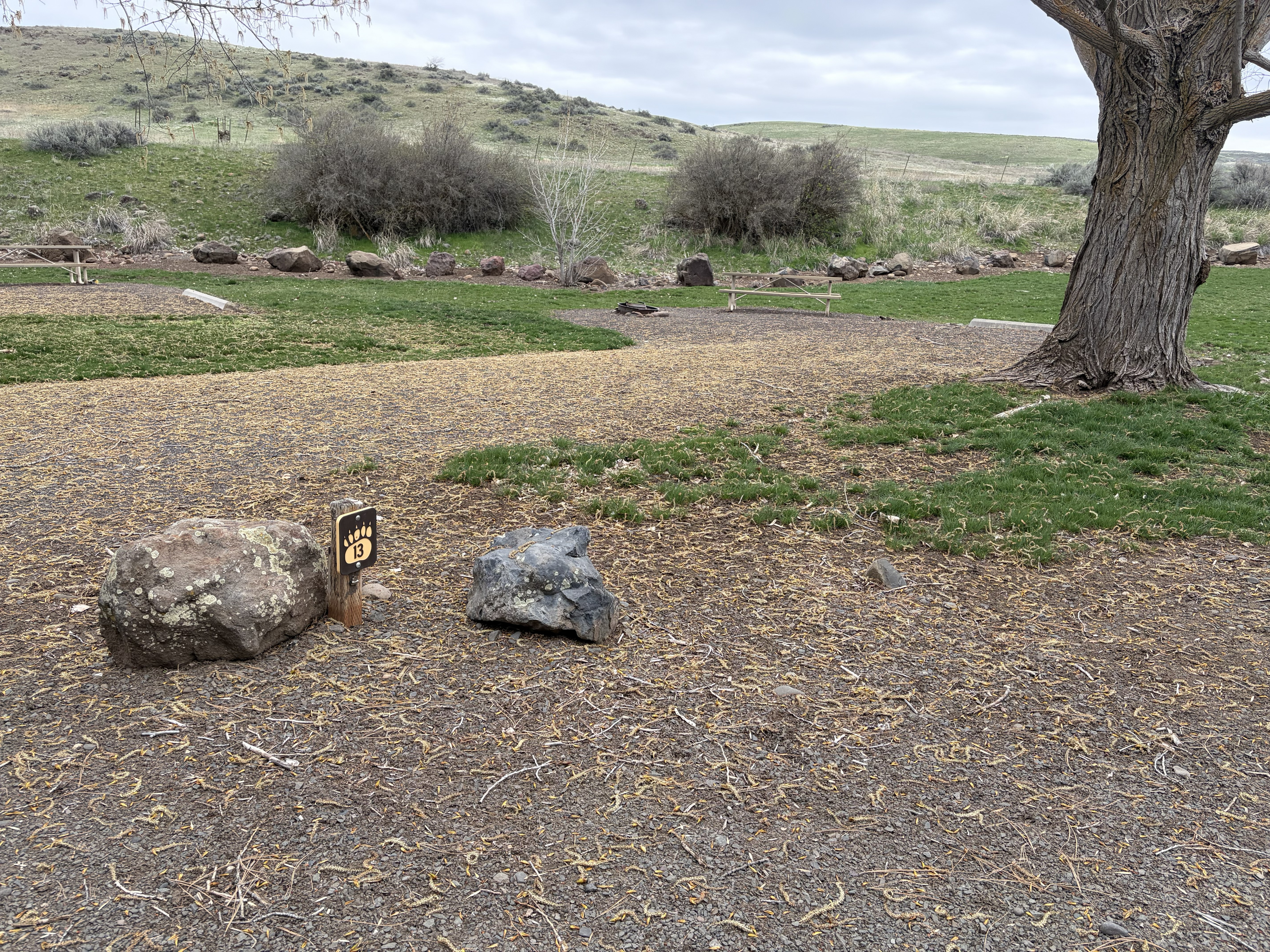 Mann Creek Campground - Campsites