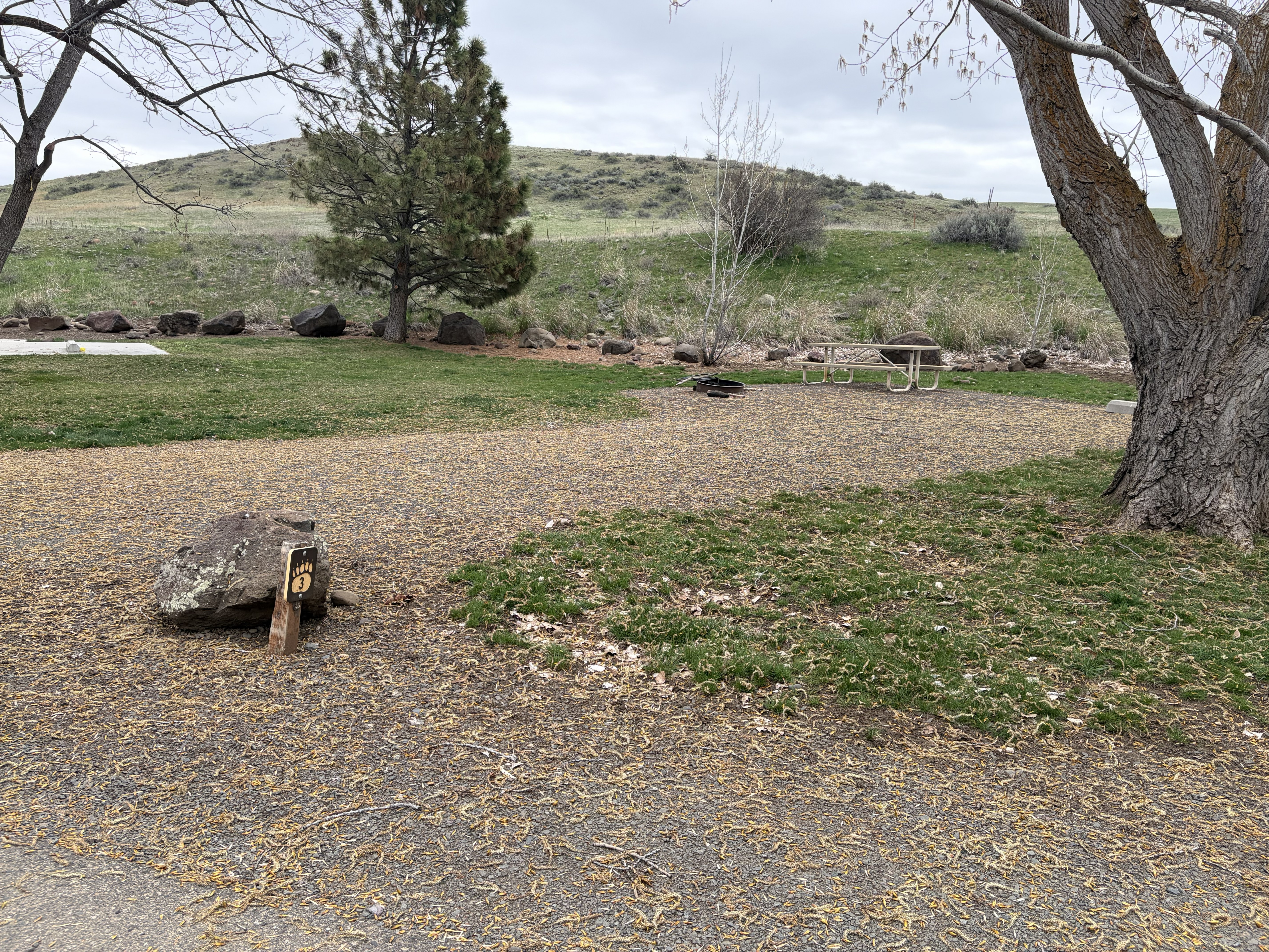 Mann Creek Campground - Campsites