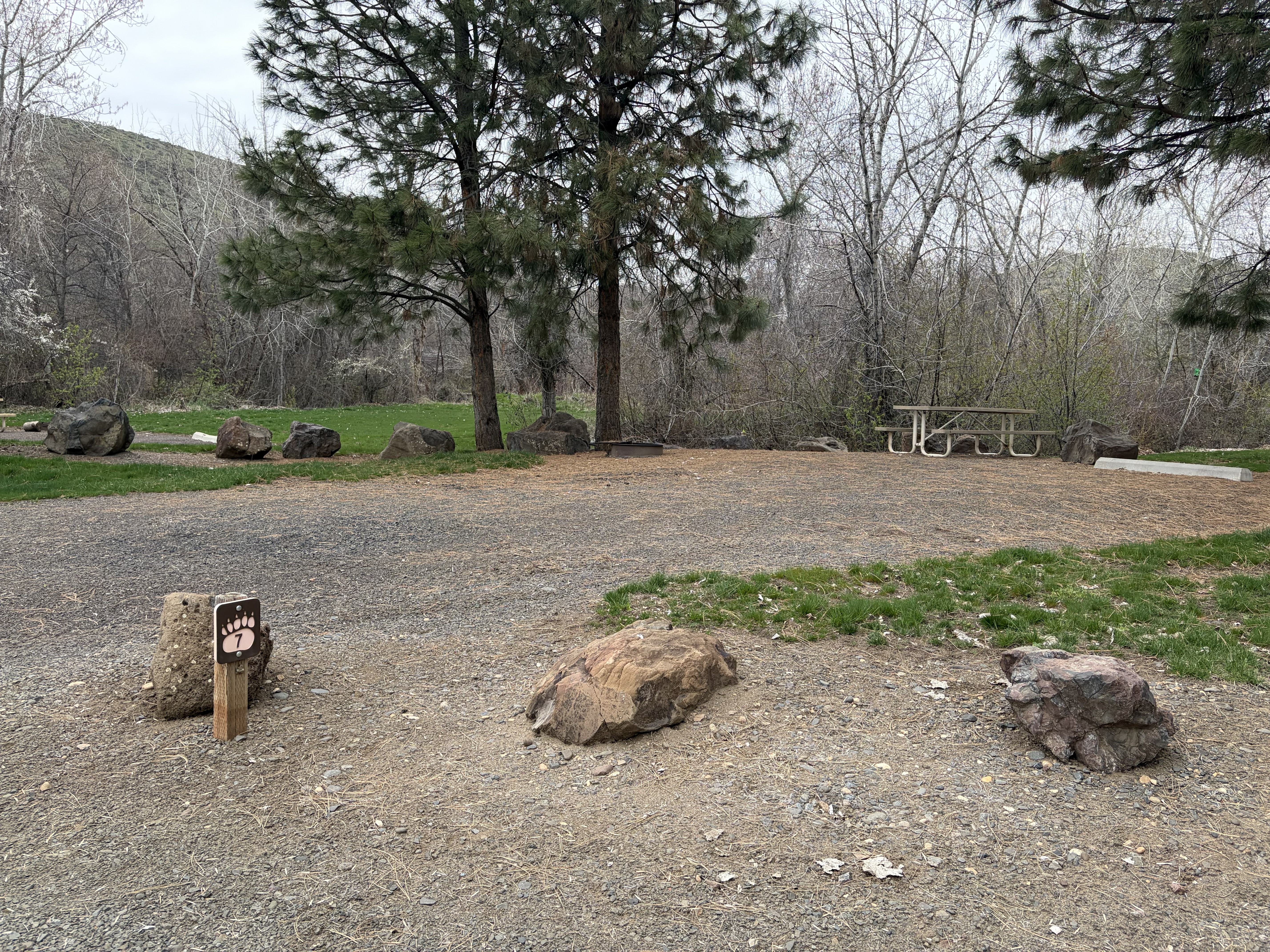 Mann Creek Campground - Campsites