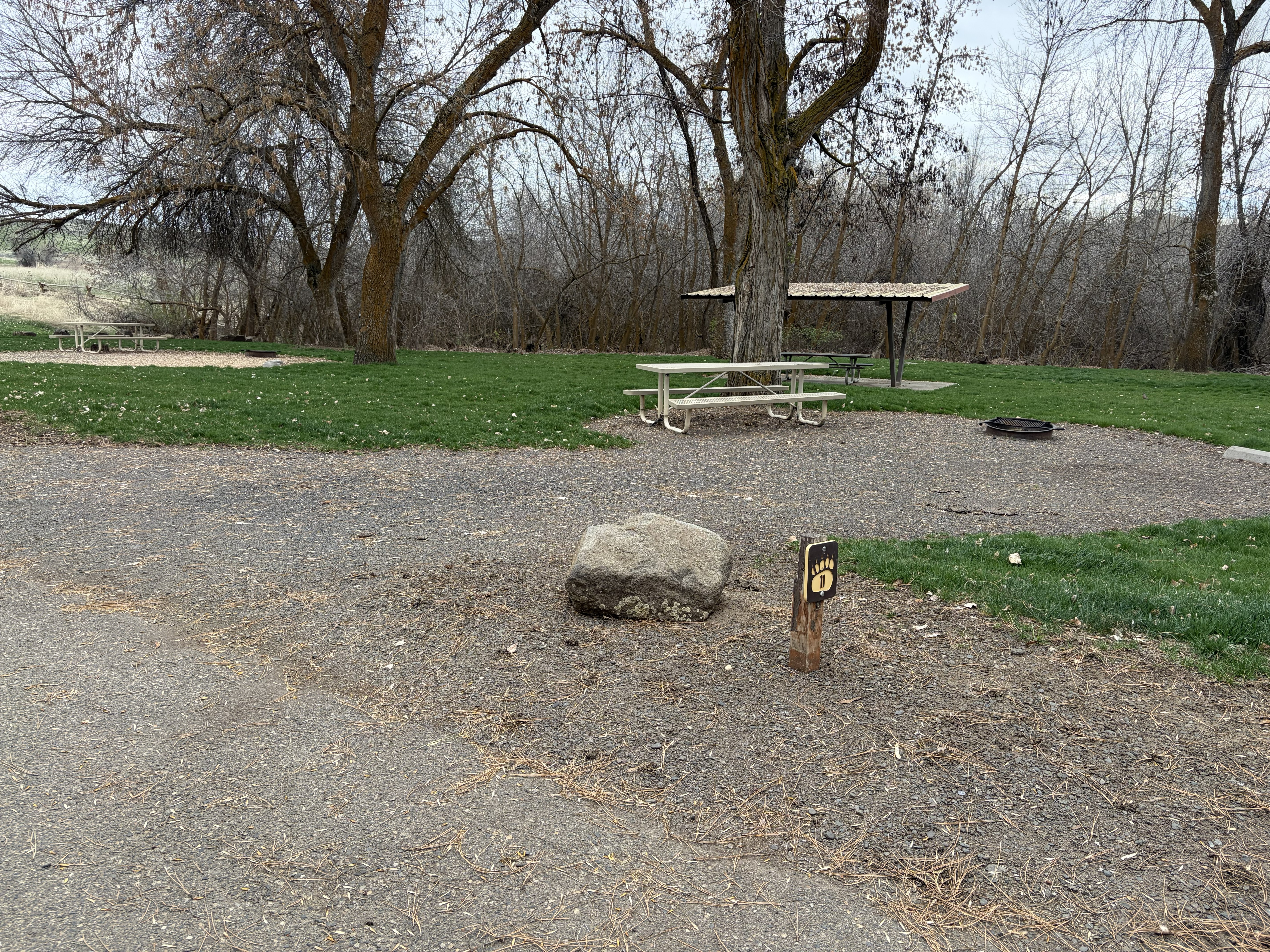 Mann Creek Campground - Campsites