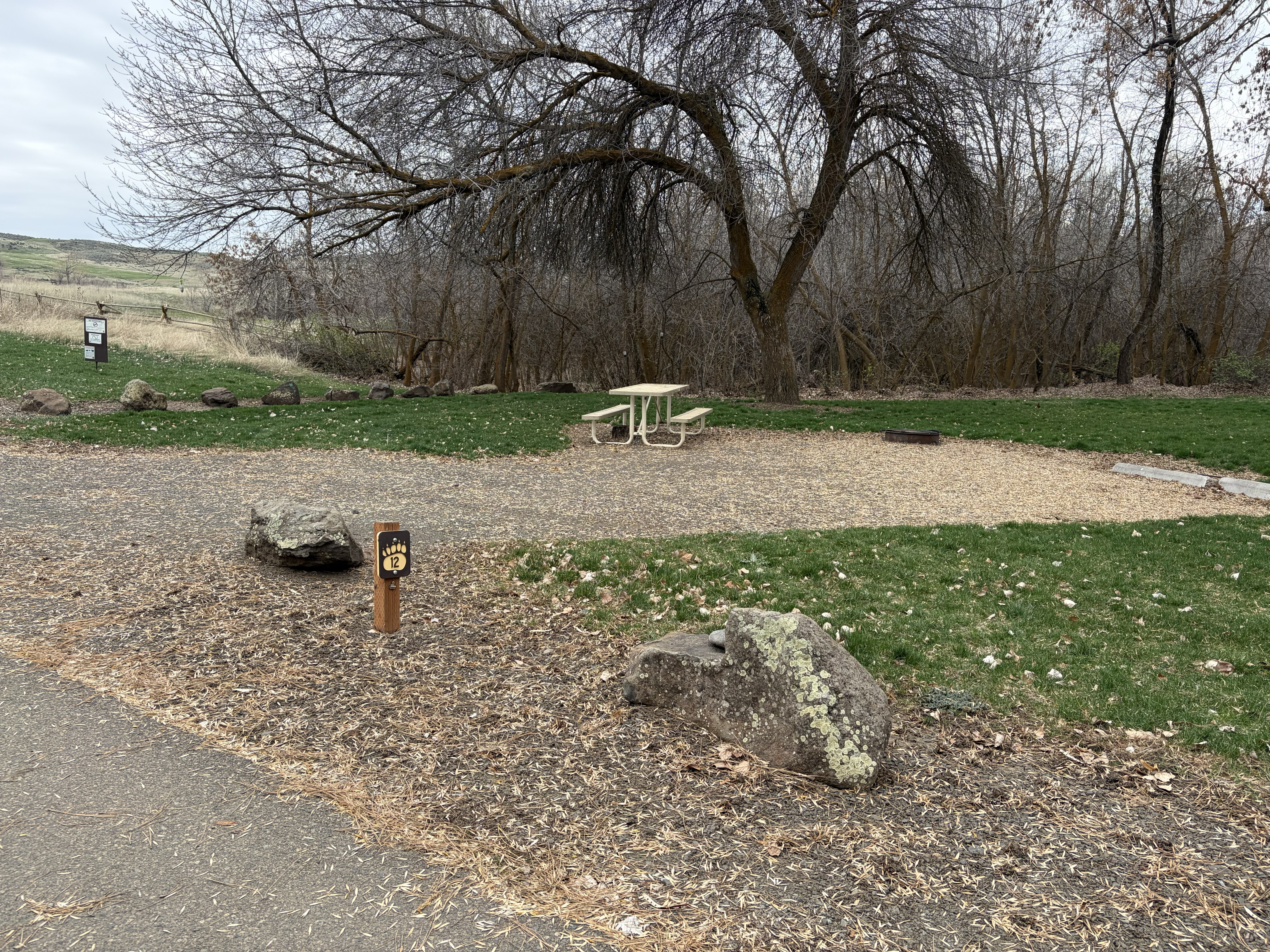 Mann Creek Campground - Campsites