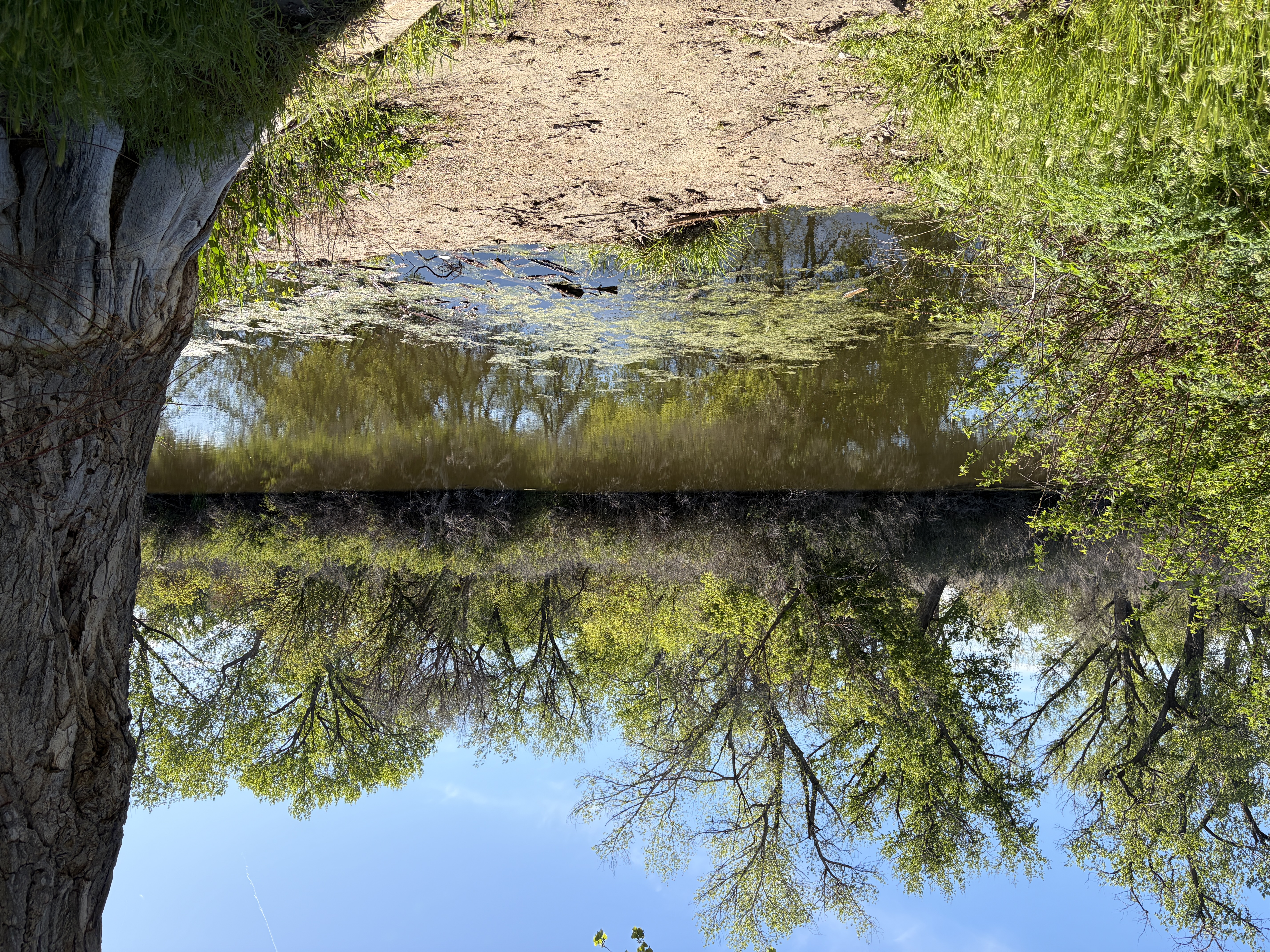 Martin Landing's Recreation